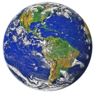 Fernite distributors