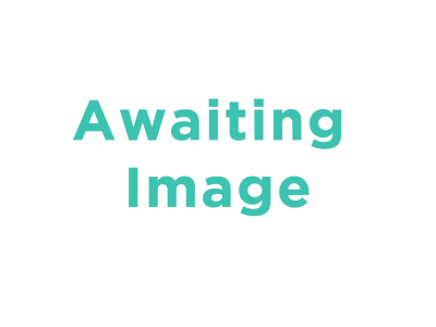 awaiting image